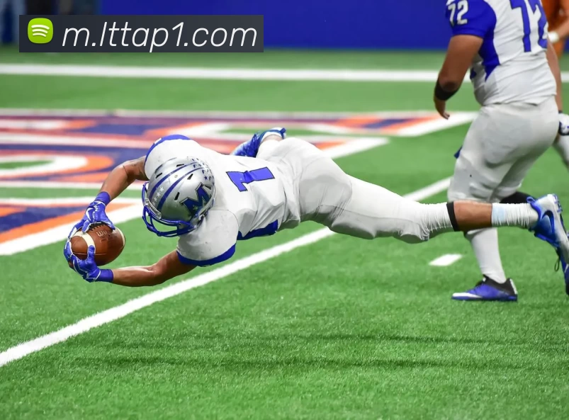 乐天堂体育app平台生态图