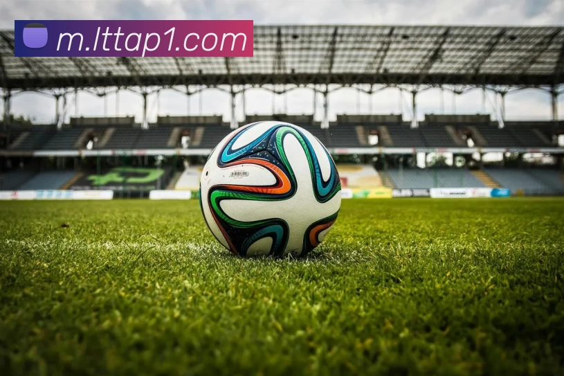 乐天堂体育appAPP 封面图